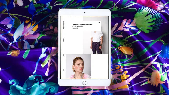 bernhard duss textildesigner illustrator kostuembildner webdesign ui ux programmierung 52