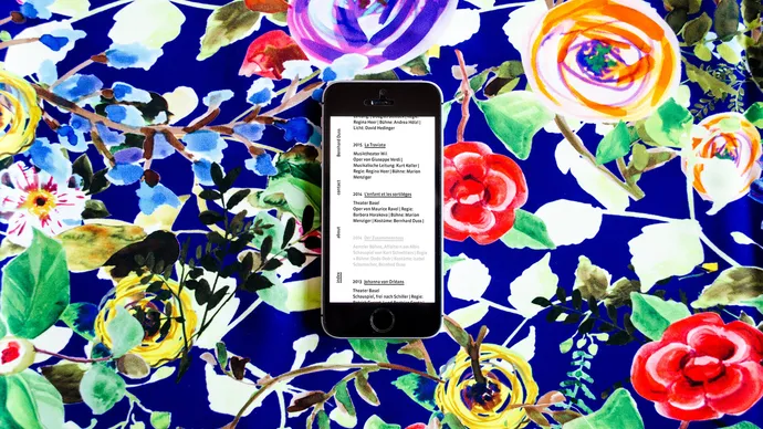 bernhard duss textildesigner illustrator kostuembildner webdesign ui ux programmierung 66
