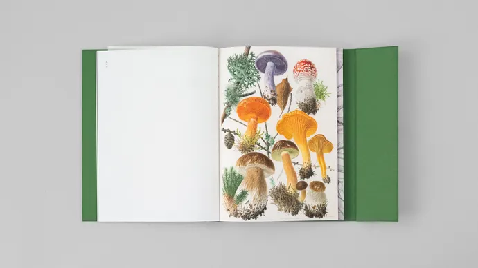 equipe visuelle luzern emmenbruecke grafik agentur buch gestaltung marcel reuschmann etidtion stephan witschi 34