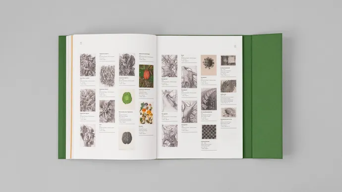 equipe visuelle luzern emmenbruecke grafik agentur buch gestaltung marcel reuschmann etidtion stephan witschi 39