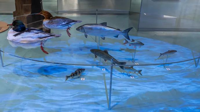museum luzern lu222 ausstellung szenografie beschriftung projektionen 2686