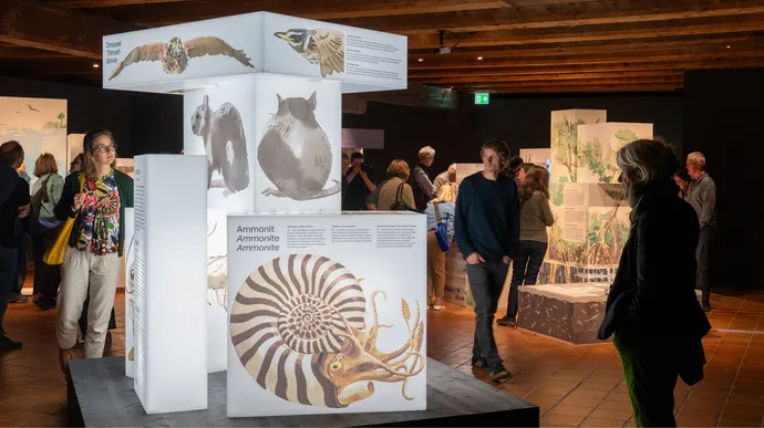 museum luzern tiere im verborgenen ausstellung ausstellungsgestaltung grafik beschriftung 02