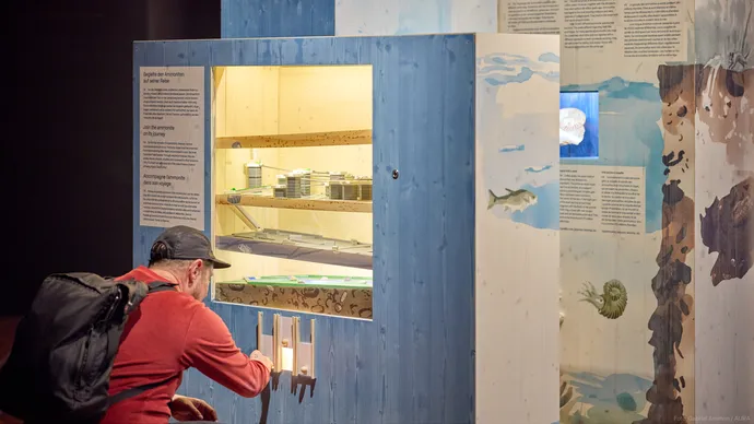 museum luzern tiere im verborgenen ausstellung ausstellungsgestaltung grafik beschriftung 05