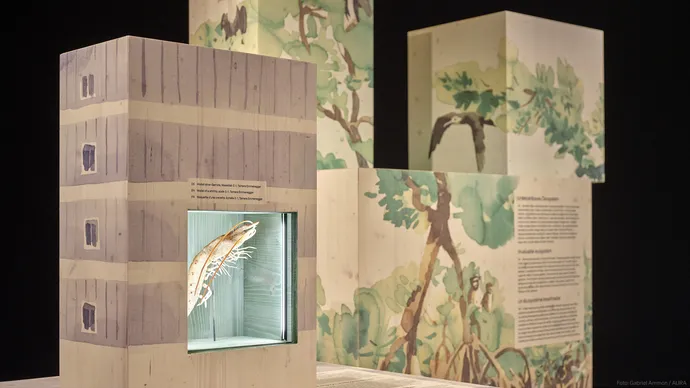 museum luzern tiere im verborgenen ausstellung ausstellungsgestaltung grafik beschriftung 07