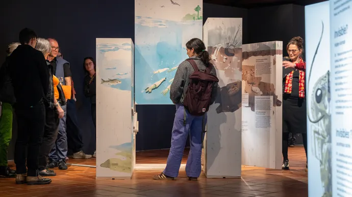 museum luzern tiere im verborgenen ausstellung ausstellungsgestaltung grafik beschriftung 09