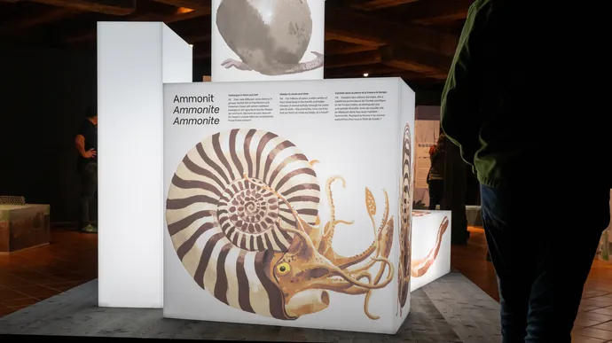 museum luzern tiere im verborgenen ausstellung ausstellungsgestaltung grafik beschriftung 14