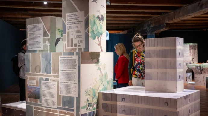 museum luzern tiere im verborgenen ausstellung ausstellungsgestaltung grafik beschriftung 15